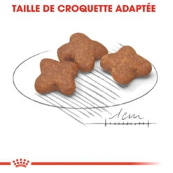 :ROYAL CANIN Mini Adulte 8+ 2kg -Animaux Fournitures Magasin fre pl ROYAL CANIN Mini Adulte 8 2kg 9904 3