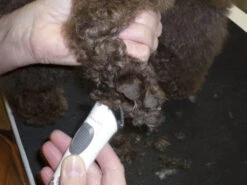 AESCULAP Tondeuse Pour Chiens Exacta Sans Fil Blanc -Animaux Fournitures Magasin fre pl AESCULAP Tondeuse pour chiens Exacta sans fil blanc 25114 6