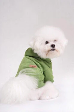 AMIPLAY Sweat-shirt à Capuche Texas Noir 40cm -Animaux Fournitures Magasin fre pl AMIPLAY Sweat shirt a capuche Texas noir 40cm 28481 5