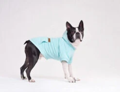 AMIPLAY Sweat-shirt à Capuche Texas Rouge 25cm -Animaux Fournitures Magasin fre pl AMIPLAY Sweat shirt a capuche Texas rouge 25cm 28484 3