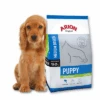 ARION Original Puppy Medium Breed Poulet & Riz 12kg+ Surprise Gratuit Pour Votre Chien 2 ARION Original Puppy Medium Breed Poulet & Riz 12kg+ Surprise Gratuit Pour Votre Chien -Animaux Fournitures Magasin fre pl ARION Original Puppy Medium Breed Poulet Riz 12kg Surprise gratuit pour votre chien 27123 1
