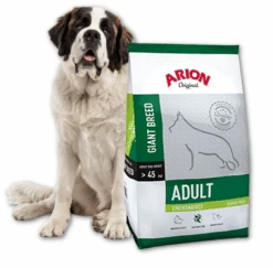 ARION Original Adult Giant Breed Poulet & Riz 12kg + Surprise Gratuite Pour Chien -Animaux Fournitures Magasin fre pl Arion Original Adult Giant Breed Poulet et Riz 12kg 8510 1 1