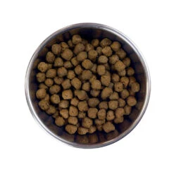 Barking Heads Bœuf Waggington Pour Tous Les Chiens Adultes 12kg -Animaux Fournitures Magasin fre pl Barking Heads Boeuf Waggington pour tous les chiens adultes 12kg 28633 3
