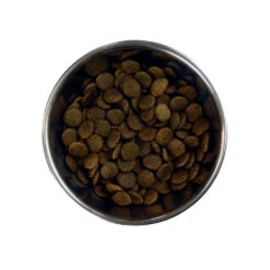 Barking Heads Doggylicious Canard Pour Tous Les Chiens Adultes 12kg -Animaux Fournitures Magasin fre pl Barking Heads Doggylicious Canard pour tous les chiens adultes 12kg 28624 3