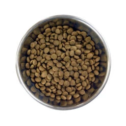 Barking Heads Little Paws Chop Lickin' Agneau Pour Adultes De Petites Races 4kg 9 Barking Heads Little Paws Chop Lickin' Agneau Pour Adultes De Petites Races 4kg -Animaux Fournitures Magasin fre pl Barking Heads Little Paws Chop Lickin Agneau pour adultes de petites races 4kg 28630 4