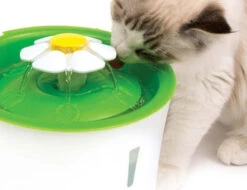 Catit Abreuvoir Avec Fleur 3l -Animaux Fournitures Magasin fre pl Catit Abreuvoir avec fleur 3l 10333 3