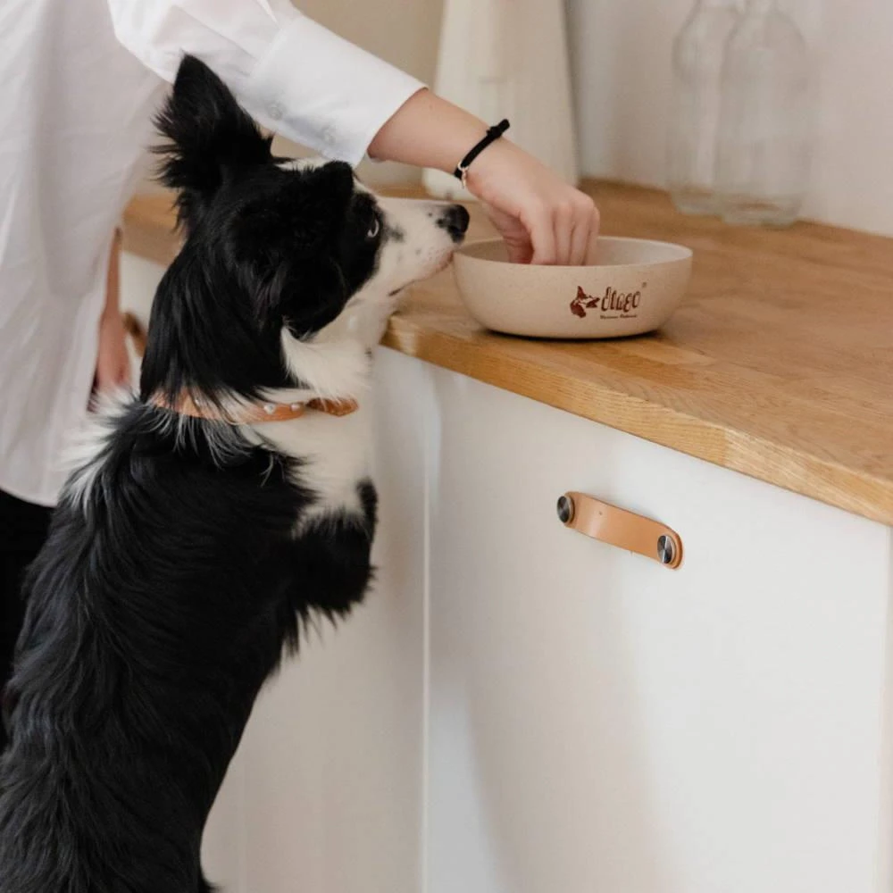 DINGO- Bol Antidérapant En Fibre De Bambou - 1500ml 5 DINGO- Bol Antidérapant En Fibre De Bambou - 1500ml – Image 3