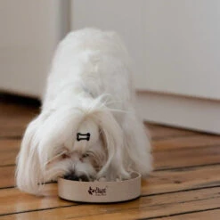 DINGO- Bol Lent En Fibre De Bambou- 800ml 8 DINGO- Bol Lent En Fibre De Bambou- 800ml -Animaux Fournitures Magasin fre pl DINGO bol lent en fibre de bambou 800ml 29822 3