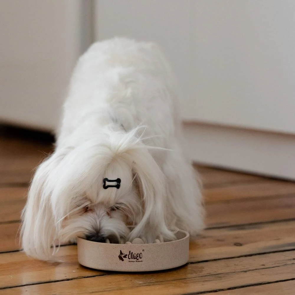 DINGO- Bol Lent En Fibre De Bambou- 800ml 5 DINGO- Bol Lent En Fibre De Bambou- 800ml – Image 3