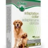 DermaPharm Laboratoire Dr Seidel Collier Adaptatif Pour Chiens 75cm