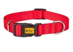 Dingo Collier à Sangle Pour Chien Avec Fermoir En Plastique Rouge 45cm