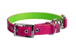 Dingo Collier En Sangle Double Face Pour Chiens Rose Et Vert 65cm