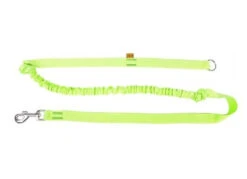 Dingo Laisse Avec Absorbeur De Chocs Et Poignée Vert 170cm