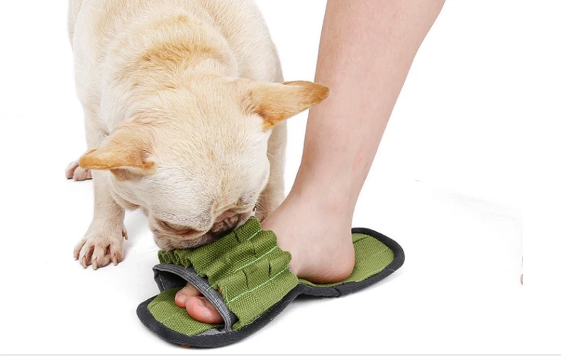 DogLemi Jouet Olfactif PANTOUFLE 4 DogLemi Jouet Olfactif PANTOUFLE – Image 2