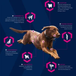 EUKANUBA Breed Specific Rottweiler 12kg + Surprise Gratuite Pour Votre Chien 12 EUKANUBA Breed Specific Rottweiler 12kg + Surprise Gratuite Pour Votre Chien -Animaux Fournitures Magasin fre pl EUKANUBA Breed Specific Rottweiler 12kg Surprise gratuite pour votre chien 27334 5