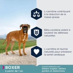 Eukanuba Adult Breed Specific Boxer 12kg -Animaux Fournitures Magasin fre pl Eukanuba Adult Breed Specific Boxer 12kg 15577 4