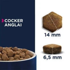 Eukanuba Adult Breed Specific Cocker Spaniel 7,5kg -Animaux Fournitures Magasin fre pl Eukanuba Adult Breed Specific Cocker Spaniel 7 5kg 15279 3