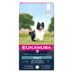 Eukanuba Adult Small & Medium Breed Aagneau Et Riz 12kg+Surprise Gratuite Pour Votre Chien -Animaux Fournitures Magasin fre pl Eukanuba Adult Small Medium Breed Riche en Agneau et Riz 12kg 15272 1