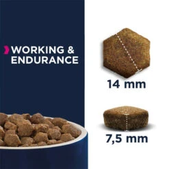 Nouvelles Arrivées -Animaux Fournitures Magasin fre pl Eukanuba Daily Care Working Endurance Adult 15kg Surprise gratuite pour votre chien 27335 2
