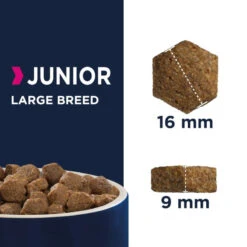 Eukanuba Junior Large 15kg -Animaux Fournitures Magasin fre pl Eukanuba Junior Large 15kg 11861 3