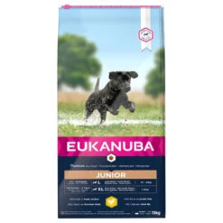 Eukanuba Puppy&Junior Large Breed 15kg+ Surprise Gratuite Pour Votre Chien -Animaux Fournitures Magasin fre pl Eukanuba Puppy Junior Large Breed 15kg 15270 2