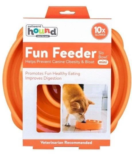 FUN FEEDER -Mini Bowl Pour Ralentir La Consommation D'orange 6 FUN FEEDER -Mini Bowl Pour Ralentir La Consommation D'orange – Image 4