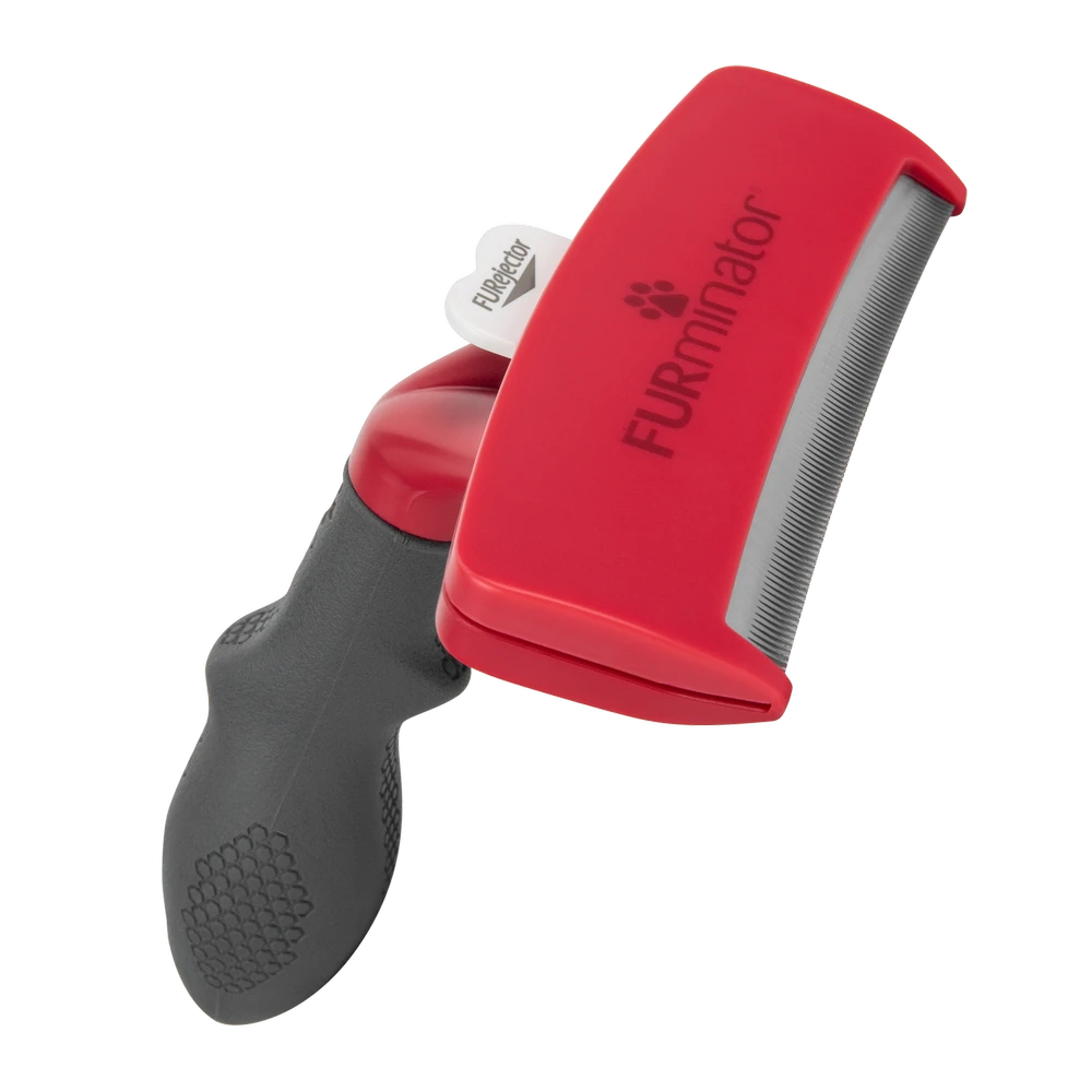 FURMINATOR Outil De Brossage Du Sous-poil Pour Chiens De Races Géantes à Poils Courts 4 FURMINATOR Outil De Brossage Du Sous-poil Pour Chiens De Races Géantes à Poils Courts – Image 2