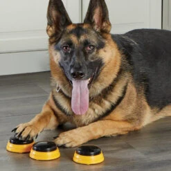 Hunger For Words TALKING PET NEXT WORDS NAMES 12 Hunger For Words TALKING PET NEXT WORDS NAMES -Animaux Fournitures Magasin fre pl Hunger for Words TALKING PET NEXT WORDS NAMES 29733 5