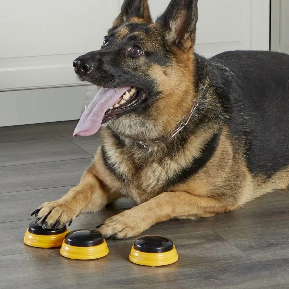 Hunger For Words TALKING PET NEXT WORDS NAMES 8 Hunger For Words TALKING PET NEXT WORDS NAMES – Image 6