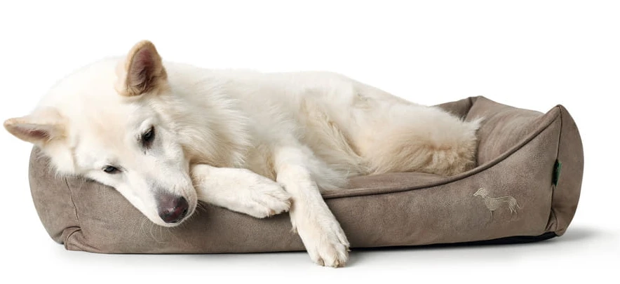 Hunter Bologna Panier Pour Chien Beige Taille S 6 Hunter Bologna Panier Pour Chien Beige Taille S – Image 4