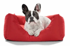 Animaux Fournitures Magasin -Animaux Fournitures Magasin fre pl Hunter Gent Sofa Antibacterien pour chiens Rouge Taille M 16604 2