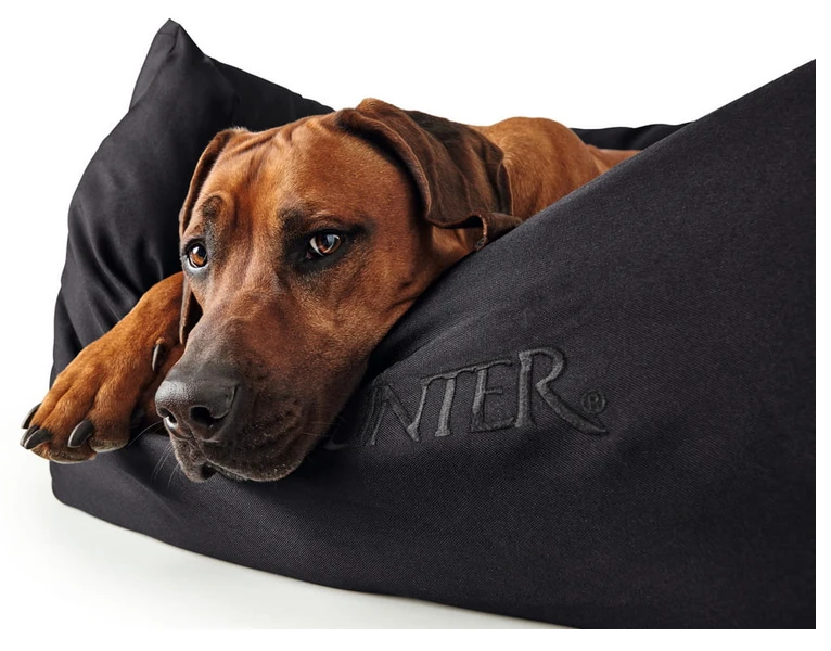 Hunter Gent Sofa Antibactérien Pour Chiens Noir Taille S 4 Hunter Gent Sofa Antibactérien Pour Chiens Noir Taille S – Image 2