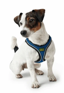 Hunter Hilo Comfort Harnais Pour Chien Bleu Marine Taille M/L 9 Hunter Hilo Comfort Harnais Pour Chien Bleu Marine Taille M/L -Animaux Fournitures Magasin fre pl Hunter Hilo Comfort Harnais pour chien Bleu marine Taille M L 12632 4