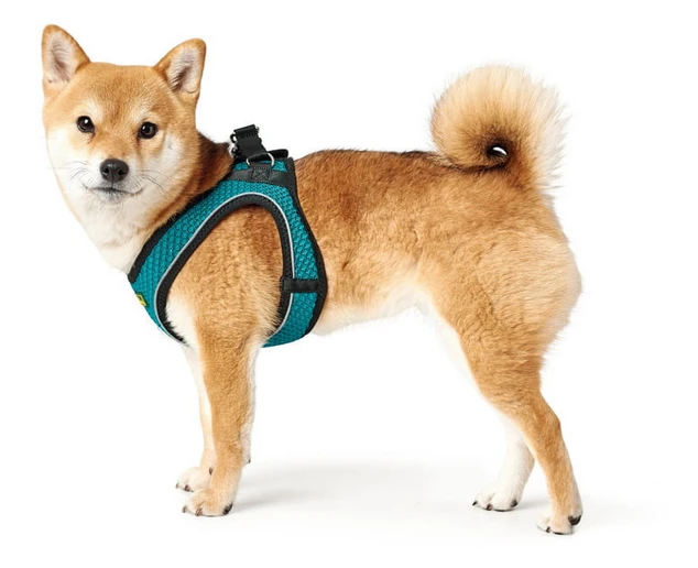 Hunter Hilo Comfort Harnais Pour Chien Turquoise Taille S 5 Hunter Hilo Comfort Harnais Pour Chien Turquoise Taille S – Image 3