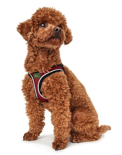 Hunter Hilo Comfort Harnais Pour Chien Rouge Taille S/M 5 Hunter Hilo Comfort Harnais Pour Chien Rouge Taille S/M – Image 3