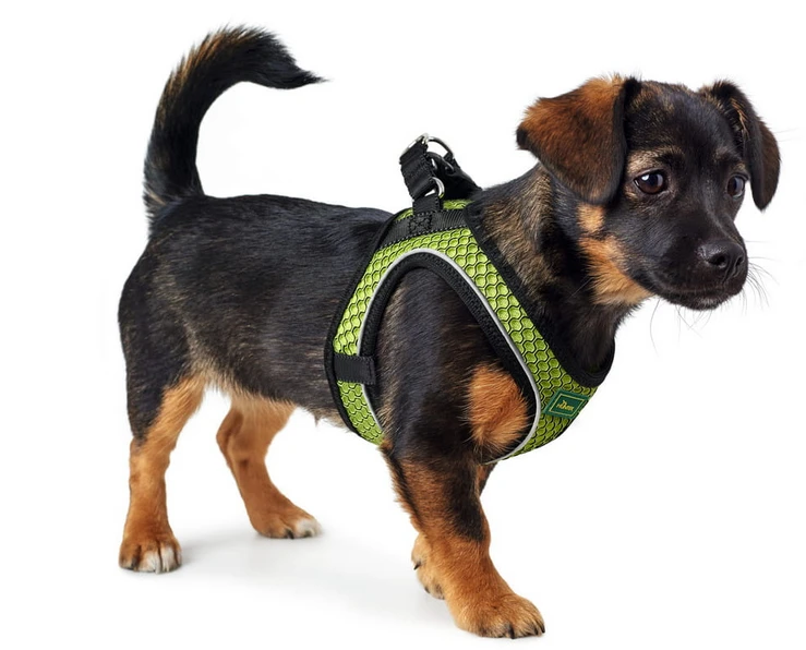 Hunter Hilo Comfort Harnais Pour Chien Vert Lime Taille M/L 5 Hunter Hilo Comfort Harnais Pour Chien Vert Lime Taille M/L – Image 3