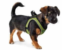 Hunter Hilo Comfort Harnais Pour Chien Vert Lime Taille XXS/XS -Animaux Fournitures Magasin fre pl Hunter Hilo Comfort Harnais pour chien vert lime Taille XXS XS 16551 3