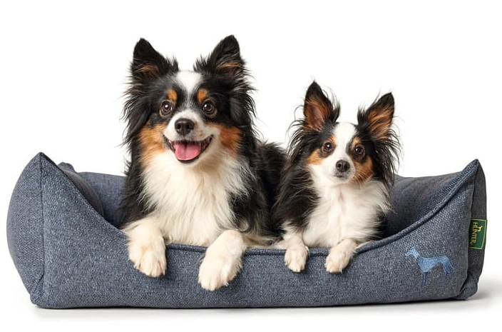 Hunter Prag Easy Clean Tanière Pour Chien Bleu Foncé Taille M 5 Hunter Prag Easy Clean Tanière Pour Chien Bleu Foncé Taille M – Image 3