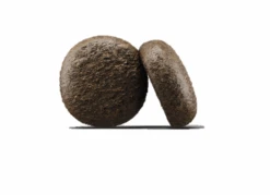 Josera Festival 15 Kg + Surprise Pour Votre Chien GRATUITES ! 10 Josera Festival 15 Kg + Surprise Pour Votre Chien GRATUITES ! -Animaux Fournitures Magasin fre pl Josera Festival 15 kg surprise pour votre chien GRATUITES 25307 3