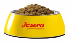 Josera Festival 15 Kg + Surprise Pour Votre Chien GRATUITES ! 13 Josera Festival 15 Kg + Surprise Pour Votre Chien GRATUITES ! -Animaux Fournitures Magasin fre pl Josera Festival 15 kg surprise pour votre chien GRATUITES 25307 7