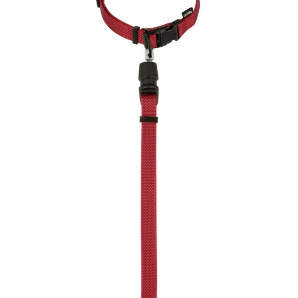 KERBL GoLeyGo 2.0 Ensemble Laisse + Collier Rouge Pour Chien 10mm X 29-45cm, S 5 KERBL GoLeyGo 2.0 Ensemble Laisse + Collier Rouge Pour Chien 10mm X 29-45cm, S – Image 3