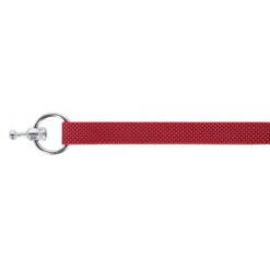 KERBL GoLeyGo 2.0 Ensemble Laisse + Collier Rouge Pour Chien 10mm X 29-45cm, S 9 KERBL GoLeyGo 2.0 Ensemble Laisse + Collier Rouge Pour Chien 10mm X 29-45cm, S -Animaux Fournitures Magasin fre pl KERBL GoLeyGo 2 0 Ensemble laisse collier Rouge pour Chien 10mm x 29 45cm S 12875 4