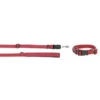 KERBL GoLeyGo 2.0 Ensemble Laisse + Collier Rouge Pour Chien 20mm X 40-65cm, M