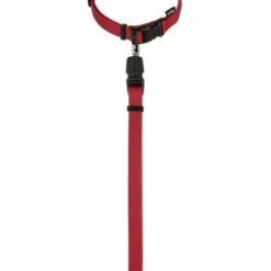 KERBL GoLeyGo 2.0 Ensemble Laisse + Collier Rouge Pour Chien 20mm X 40-65cm, M -Animaux Fournitures Magasin fre pl KERBL GoLeyGo 2 0 Ensemble laisse collier Rouge pour Chien 20mm x 40 65cm M 12878 3