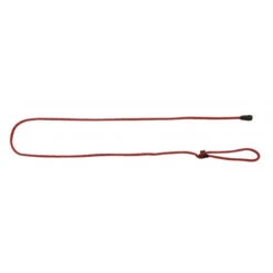 KERBL Laisse GoLeyGo 2.0 Avec Adaptateur Rouge Pour Chien 12mm X 140-200cm, M, Max 60kg
