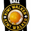 Kiwi Walker Let's Play BALL Maxi Balle Orange