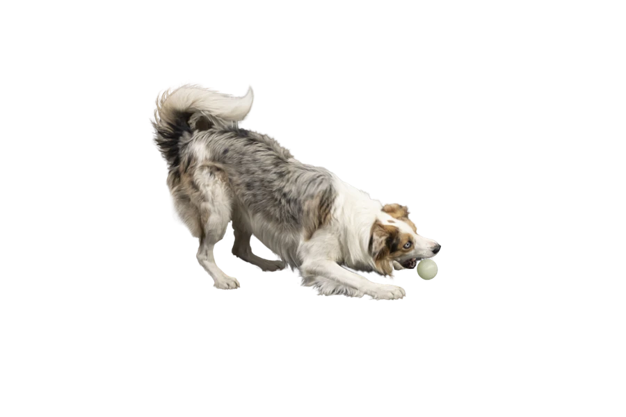 Kiwi Walker Let's Play GLOW BALL Maxi Balle 5 Kiwi Walker Let's Play GLOW BALL Maxi Balle – Image 3