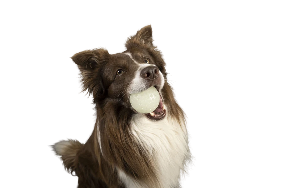 Kiwi Walker Let's Play GLOW BALL Maxi Balle 6 Kiwi Walker Let's Play GLOW BALL Maxi Balle – Image 4