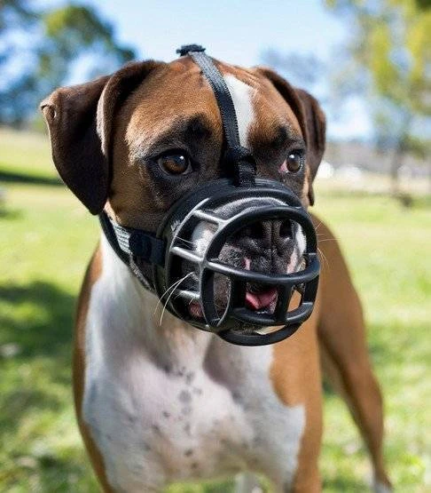 Muselière Baskerville Ultra 2 NOIR 4 Muselière Baskerville Ultra 2 NOIR – Image 2