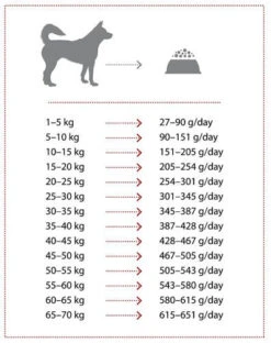 Nature's Protection Extra Salmon 2kg 7 Nature's Protection Extra Salmon 2kg -Animaux Fournitures Magasin fre pl Natures Protection Extra Salmon 2kg 8773 3